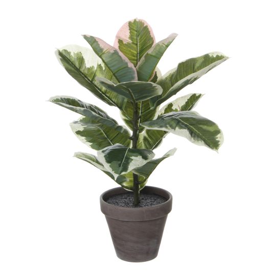 Variegated Artificial Rubber houseplant in pot
