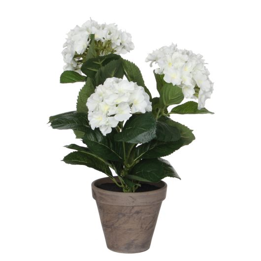 White Artificial Hydrangea in pot
