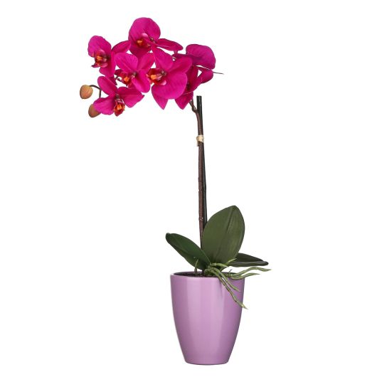 Purple Artificial Orchid with ceramic pot