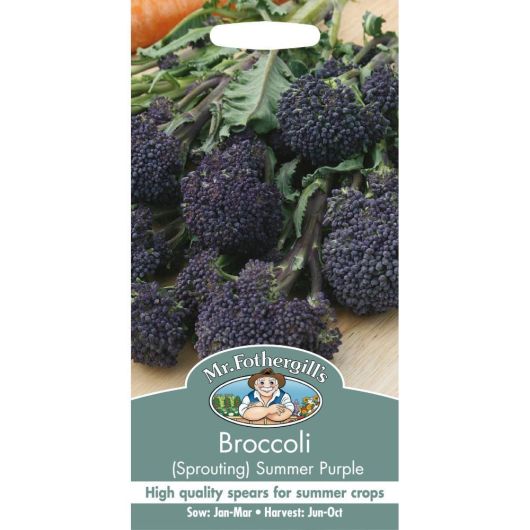 Mr Fothergill's Broccoli Sprouting Summer Purple