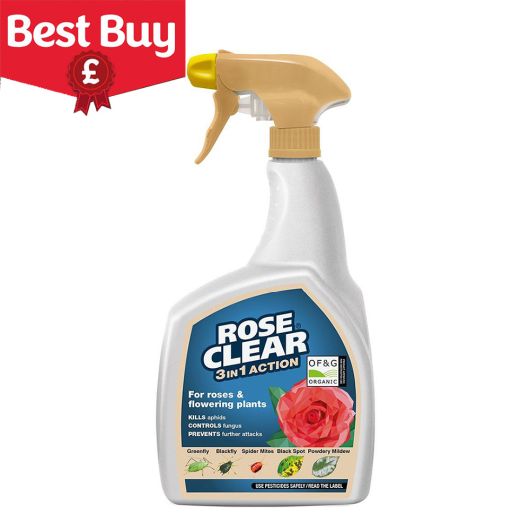 RoseClear® 3 in 1 Action 800ml