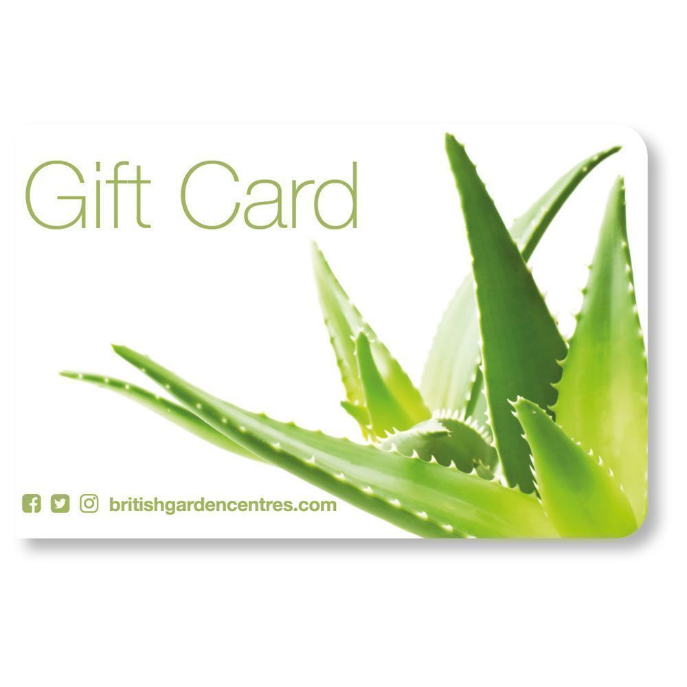 BGC Gift Card - Houseplants - £10