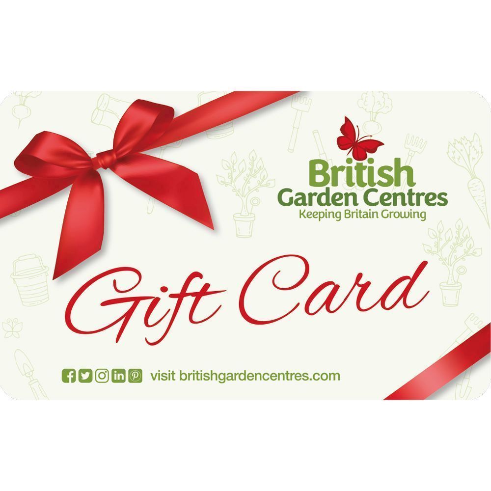 BGC Gift Card - Ribbons - £10