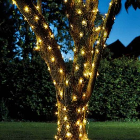 Smart Garden Firefly Solar String Lights x100 Warm White
