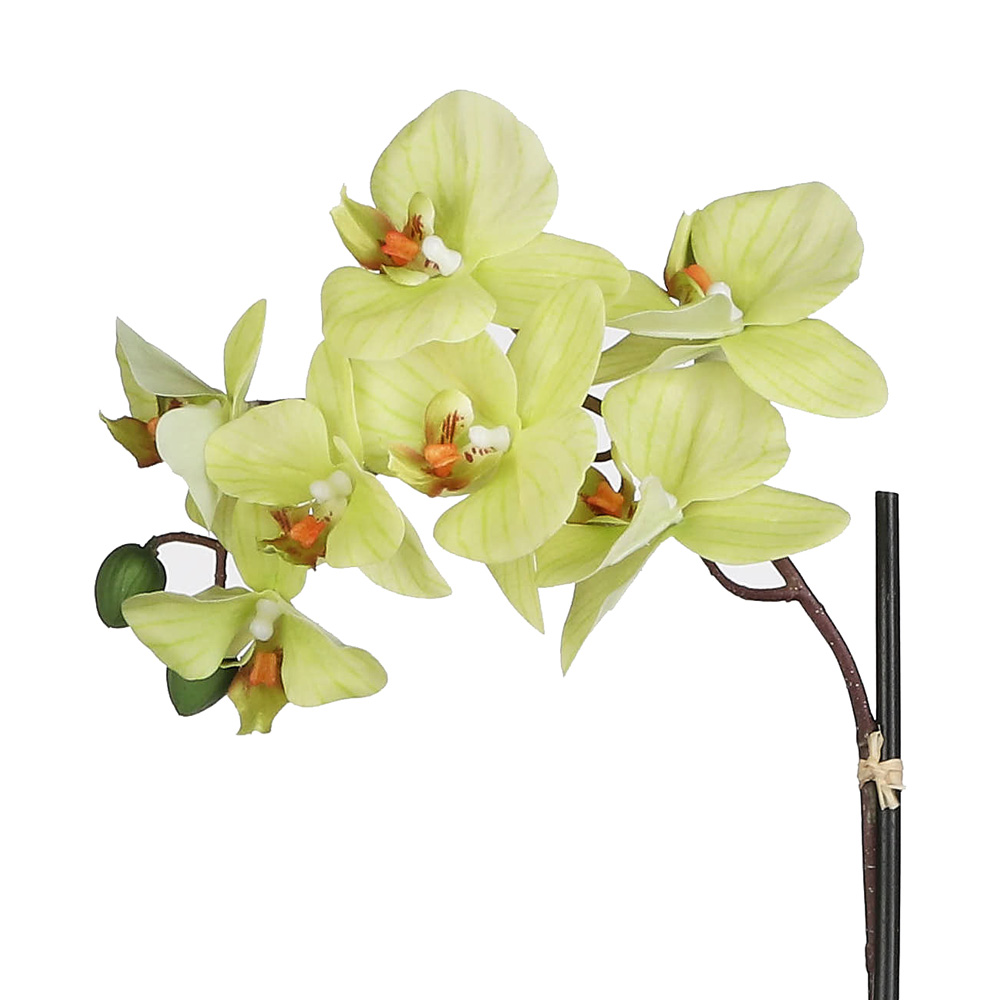 Green Artificial Orchid with ceramic pot