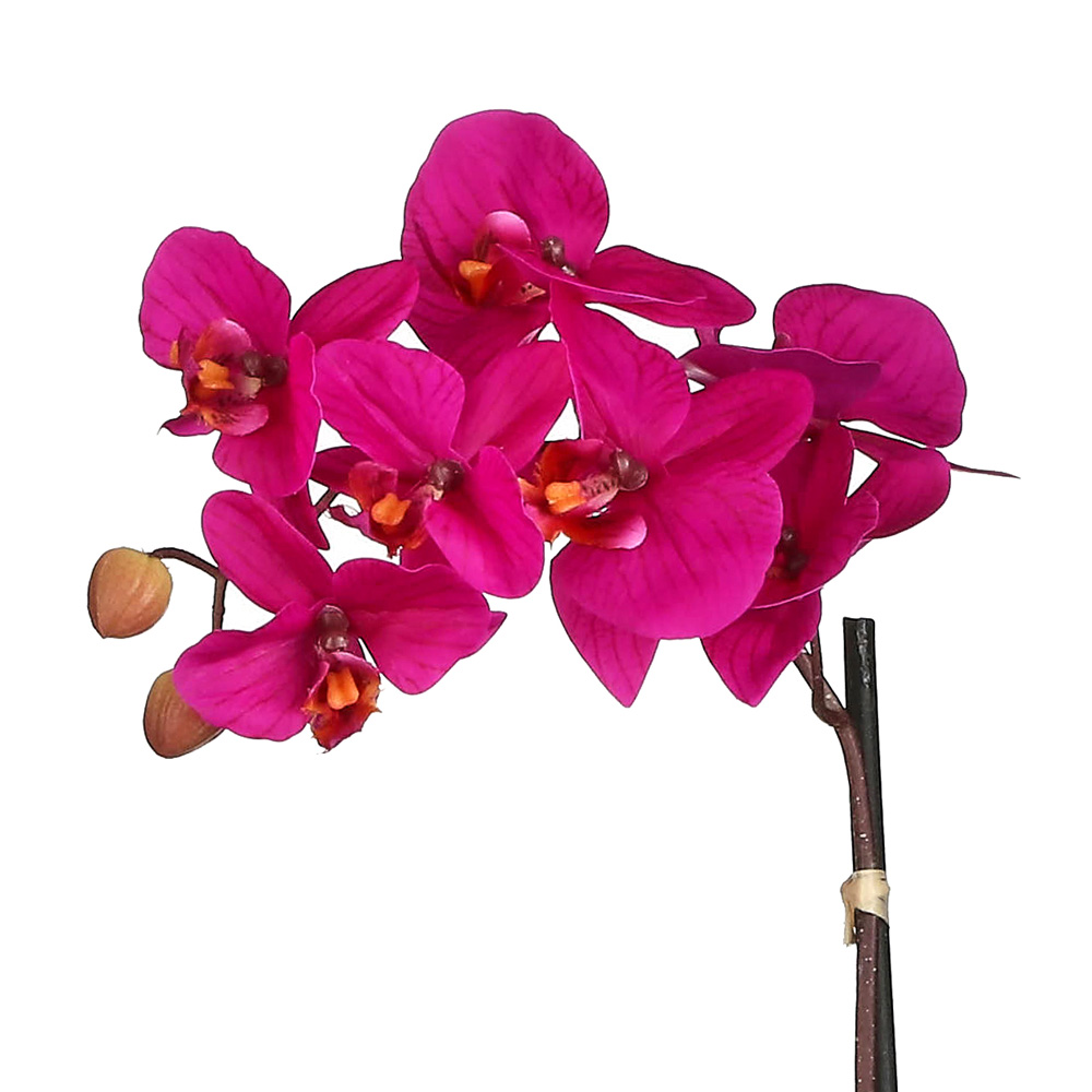Purple Artificial Orchid with ceramic pot