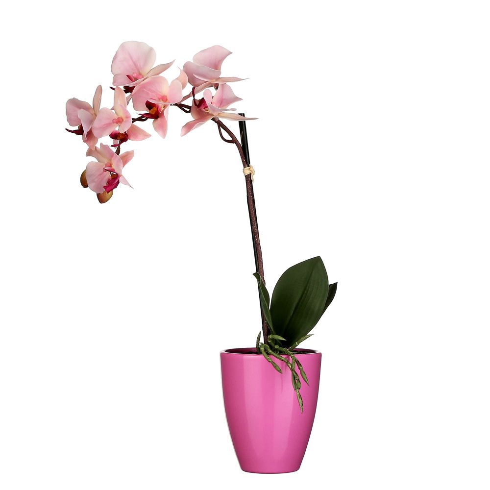 Pink Artificial Orchid with ceramic pot