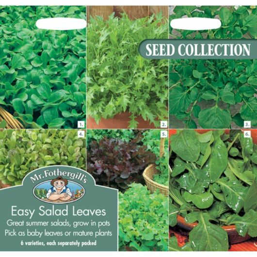 Mr Fothergill's Easy Salad Leaves Collection