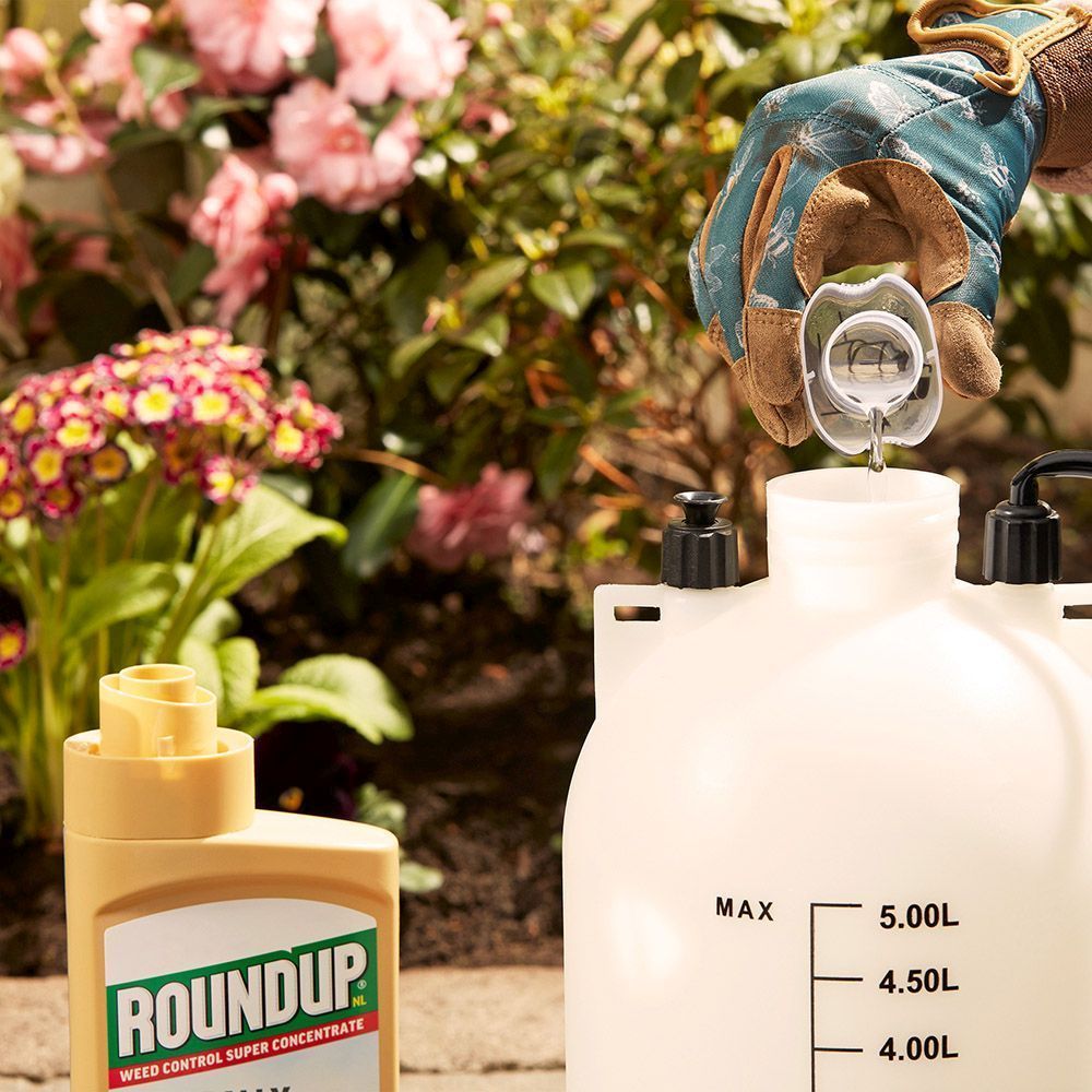 Roundup® NL Weed Control Concentrate 280ml