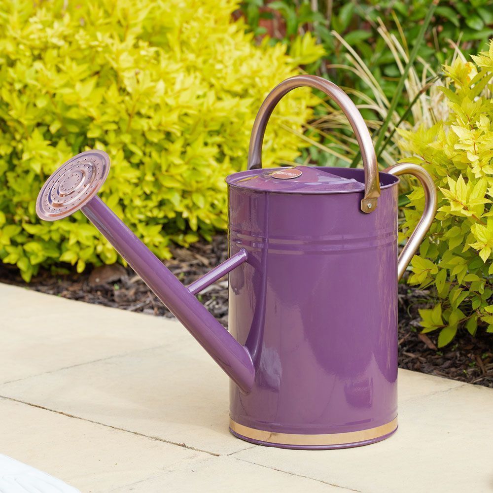 Smart Garden Watering Can 4.5L - Violet