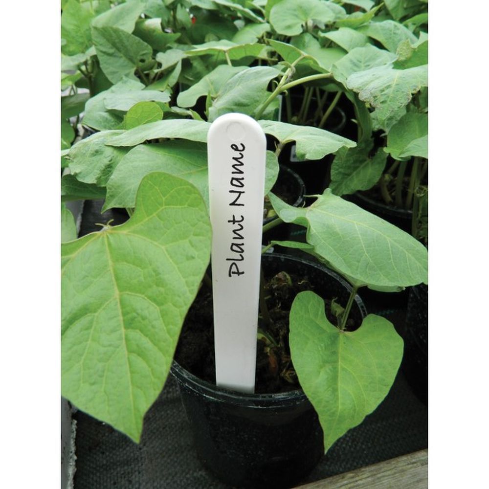 Garland 10cm White Plant Labels - 25 Pack
