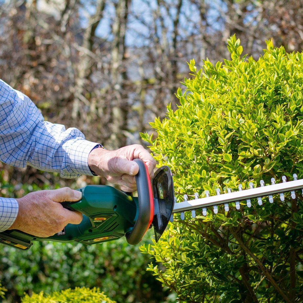 Webb 50cm 20V Cordless Hedge trimmer with 2Ah Battery & 1.5Ah Charger